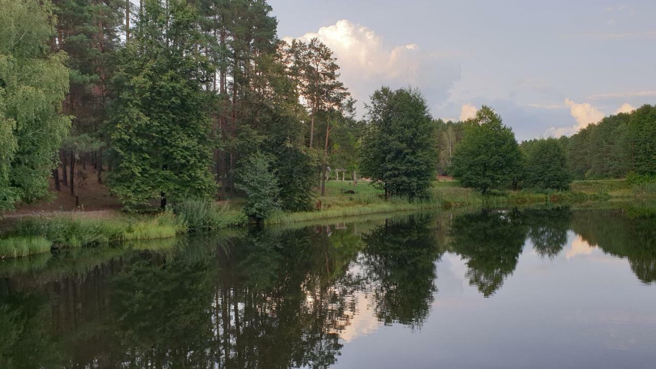 Garden Studio By The Lake With Air-Con And Infrasauna Druskieniki Zewnętrze zdjęcie